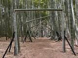 若竹の杜 若山農場