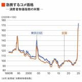 消費者物価指数の米類