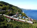 伊豆急線内を快走する「湘南ブロック色」の185系「踊り子」（撮影：南正時）