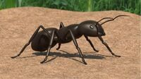 アリという昆虫の｢最期｣はあまりに突然訪れる