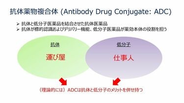 実例 薬剤経済学 メマンチン塩酸塩錠20mg「DSEP」｜もっと知りたい私のお薬｜第一
