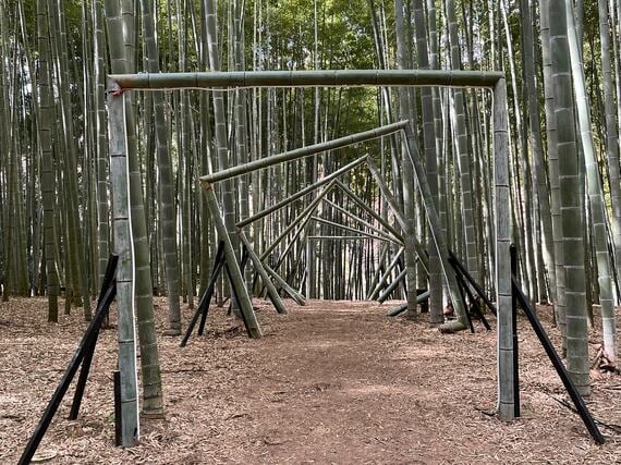 竹林