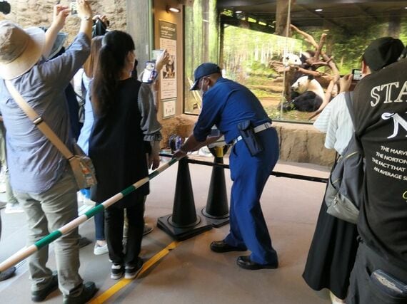 上野動物園パンダの観覧