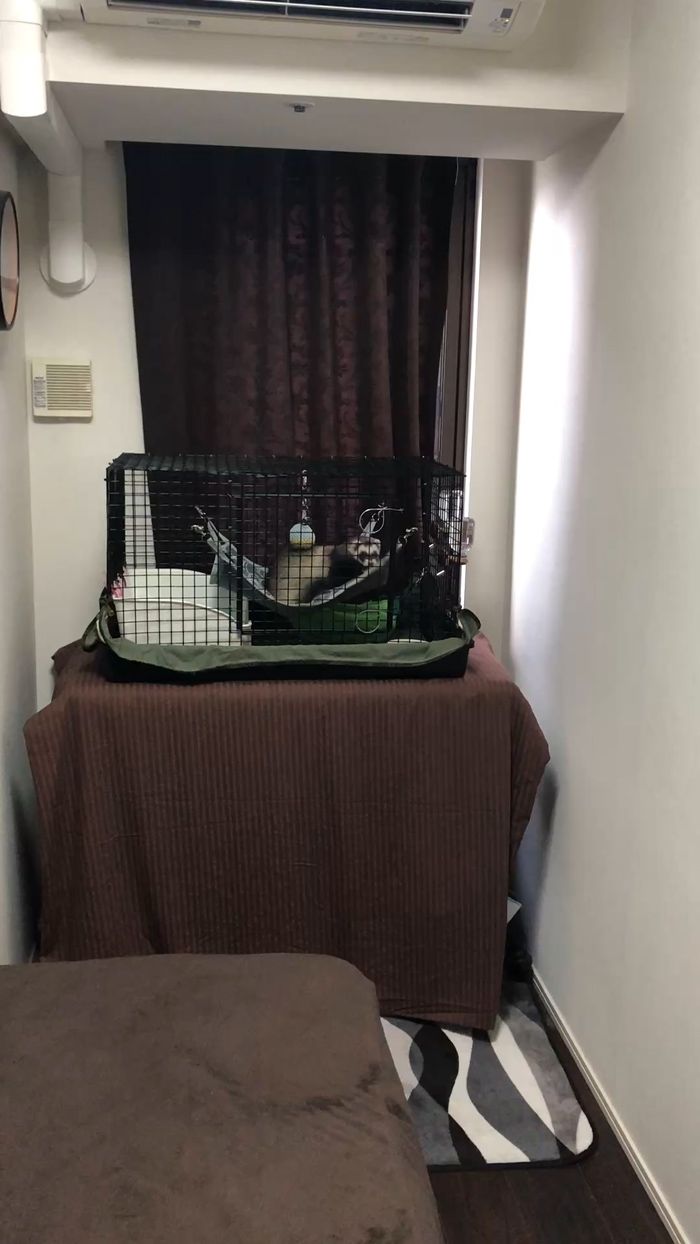 （写真提供：ミキさん）