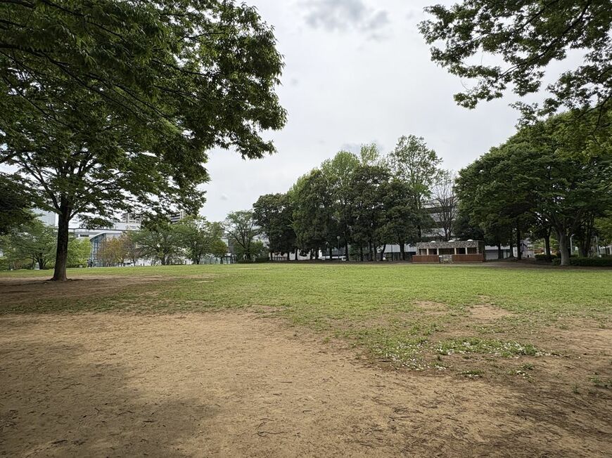 広々とした公園も多い。子連れの家族や犬の散歩をする人がいた（写真：筆者撮影）