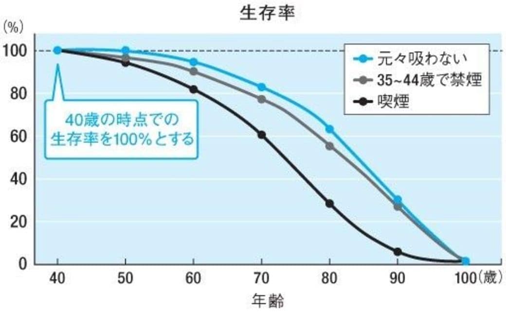 肥満や喫煙 やっぱり健康に悪い という根拠 健康 東洋経済オンライン 経済ニュースの新基準