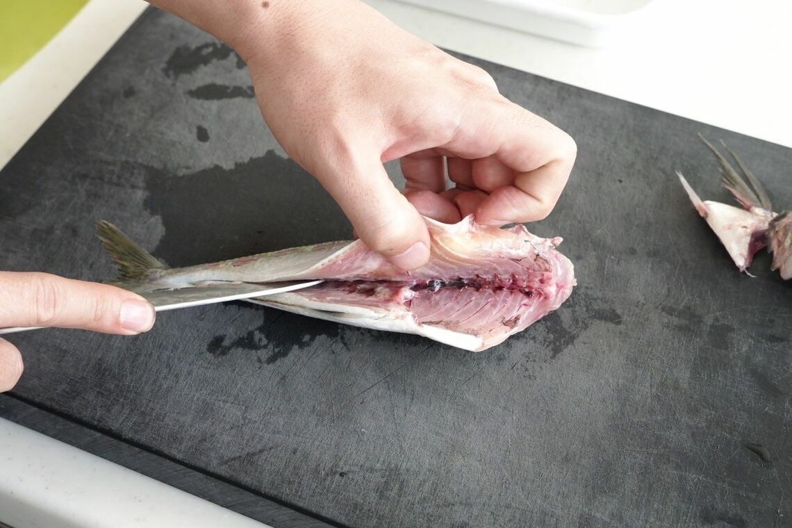 腹を切ったアジ