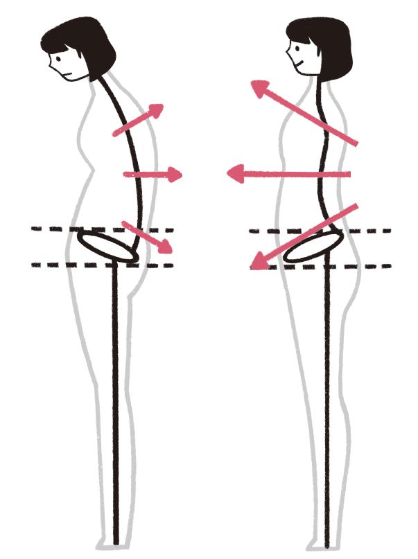 猫背の人、S字のシャキッとした人