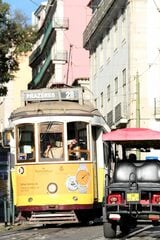 トラム沿線は観光用の車が頻繁に通る（筆者撮影）