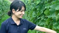 定説を覆した醸造家が再び挑む"甲州の奇跡" 日本固有の甲州種で目指すワインの革新<下>