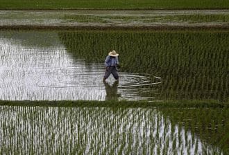 外国人労働者は｢現状の128万では足りない｣