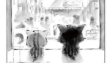 にゃんからにゃんこ