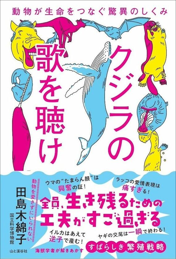 『クジラの歌を聴け 動物が生命をつなぐ驚異のしくみ』書影