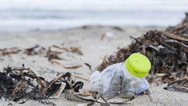 レジ袋有料化で｢海洋プラごみ｣は解決するのか