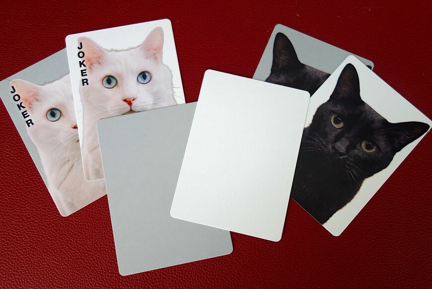各シリーズとも必ず2枚の空白カードが入っていて、自分の飼い猫の写真を貼り付けられるようになっている（写真：筆者撮影）