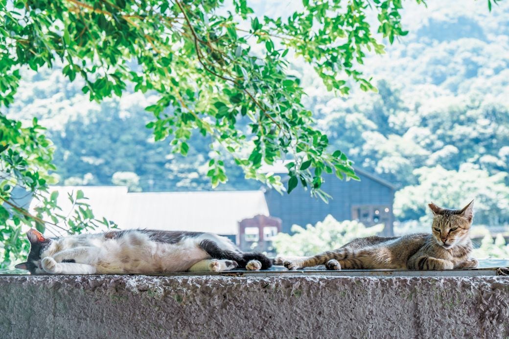 （写真：『世界がくれた美しい風景に出会う旅』より）