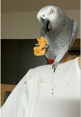 （写真提供：カマタさん）