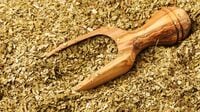 【アラフィフが検証】｢薬草みたいな味｣と最初は絶望も…南米の"飲むサラダ"《マテ茶》を30日飲んだ結果→体に変化が