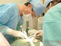空前の大ブームで見えたインプラント（人工歯根）治療の光と影
