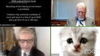 ｢猫弁護士｣語るズーム法廷で珍事が起こった訳 フィルターが外せず､オモシロ動画の殿堂に