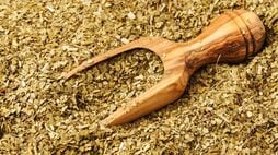【アラフィフが検証】｢薬草みたいな味｣と最初は絶望も…南米の"飲むサラダ"《マテ茶》を30日飲んだ結果→体に変化が