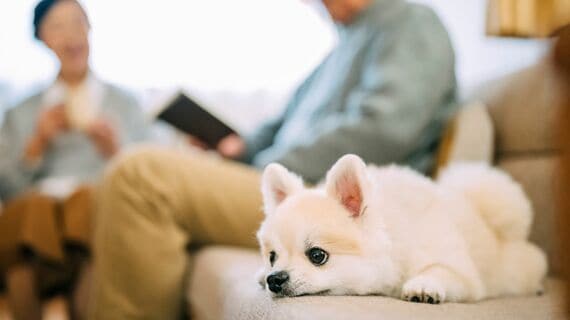 「おふたりさまの老後」は準備が10割 ペット