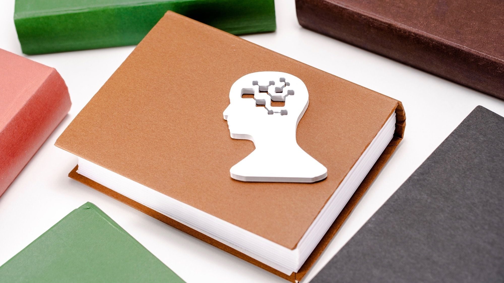 ポチ 犬 と勝手に解釈する人に欠けている視点 学校 受験 東洋経済オンライン 社会をよくする経済ニュース