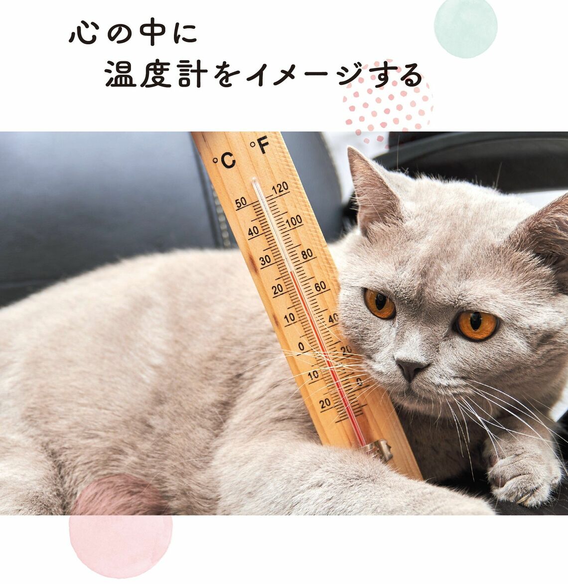 （出所：『そんなに怒らニャくてもいいんだよ ネコと学ぶ心が軽くなる方法』より）