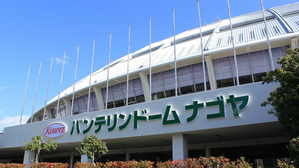 「星野がいた時代」の中日ドラゴンズのエピソードを振り返ります（写真：かめや きちべ／PIXTA）