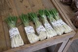 エシャレット160円。若採りのラッキョウのである。生で食べることができ、シャキシャキした食感が楽しい食材（筆者撮影）