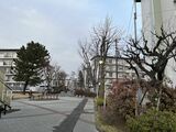 団地