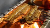 愛知の｢激安うなぎ屋｣特上鰻丼が2300円の秘密 ｢うなぎの与助｣生の鰻を仕入れて店で串打ち