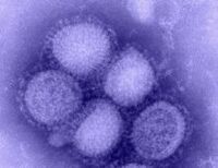 新型インフル流行で顕在化、ワクチン増産の難題