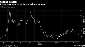 ロシアがウクライナ産穀物の輸出再開合意を停止