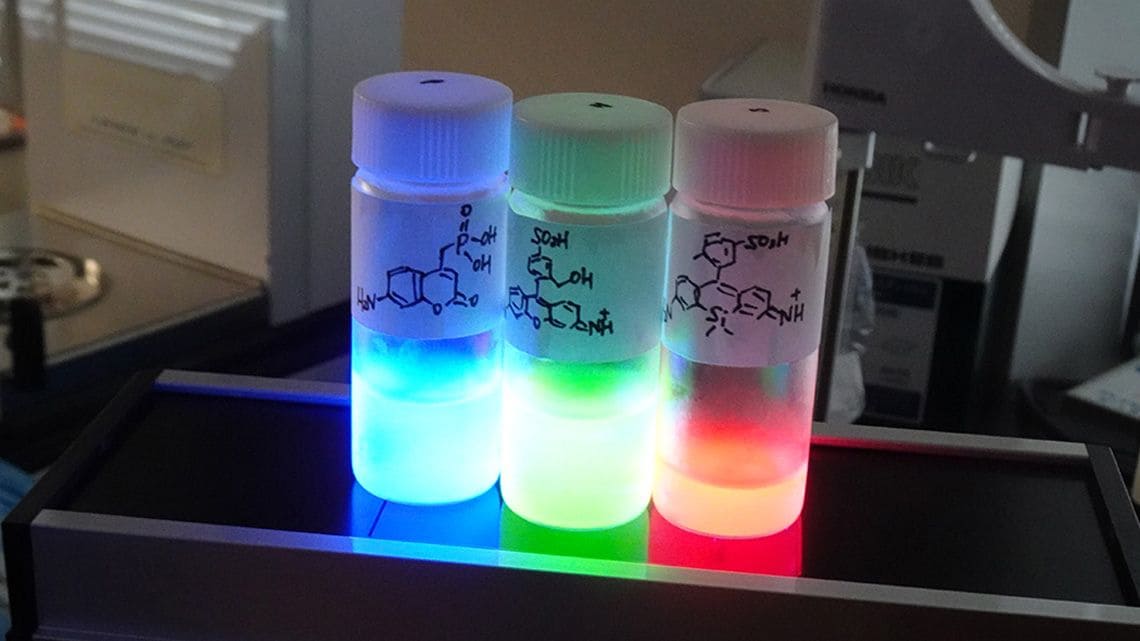 発光する酵素