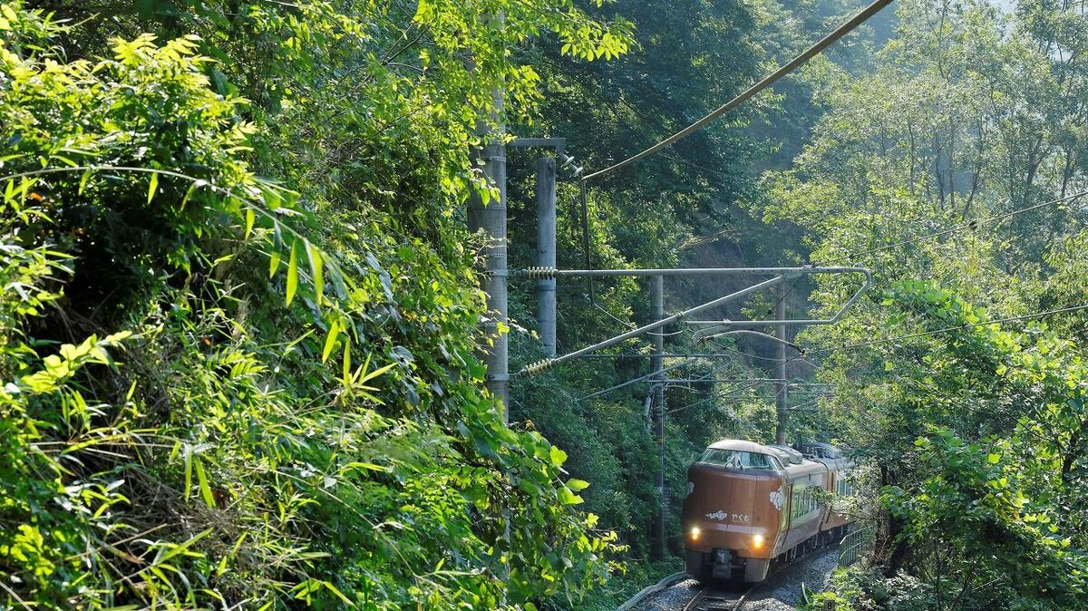 倒木による運休防ぐ､JR西日本｢集中伐採｣に密着 | 経営 | 東洋経済オンライン