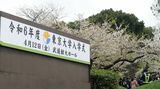 東大の入学式の様子