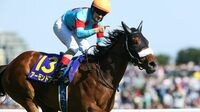 秋競馬､｢アーモンドアイ｣は牝馬3冠なるか 来週10月14日のGⅠ秋華賞が決戦の時