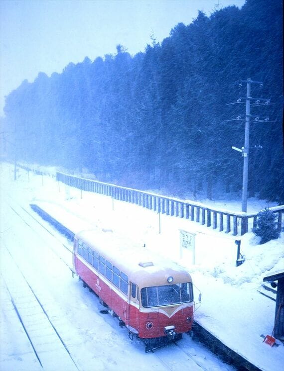 野辺地駅 防雪林