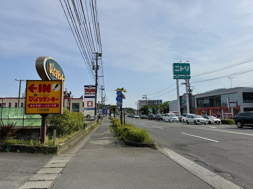 ニトリ、東京インテリア、びっくりドンキー、釣り具のキャスティングなどチェーン店が集積している（写真：筆者撮影）