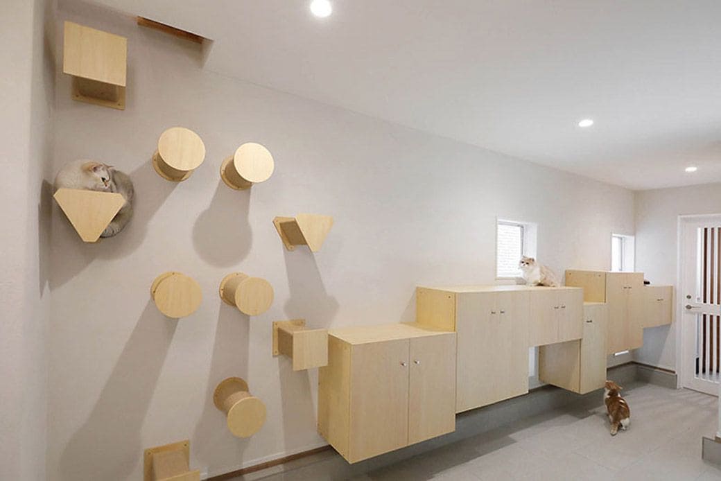 キャットウォーク風の棚や、壁のキャットステップ