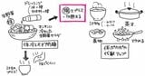 （出所：『自然やせ力 運動オタクが運動やめたらー10kg! やせ細胞を120%呼び覚ます養生』より）