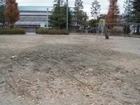 放射能汚染地帯で暮らす福島県民の苦悩、不安募らす子育て家庭　おざなりの除染作業