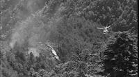 日航機墜落現場を写した私が伝え続けたい記憶 37年前の御巣鷹山を取材したカメラマンの写真