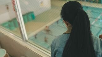 子どもの習い事で多発｢応援席ハラスメント｣とは