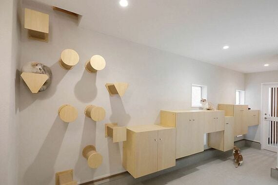 キャットウォーク風の棚や、壁のキャットステップ