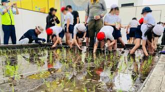 約17㎡「超都会の田んぼ」に小学生が集まるワケ