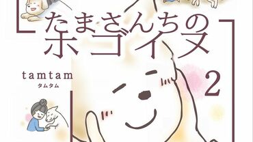 たまさんちのホゴイヌ2