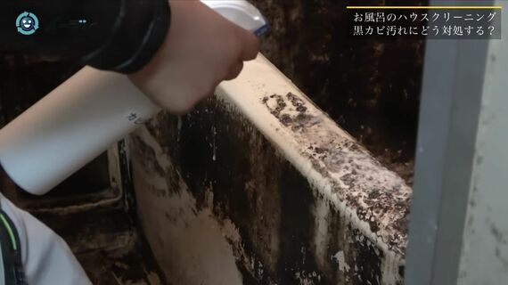 ゴミ屋敷