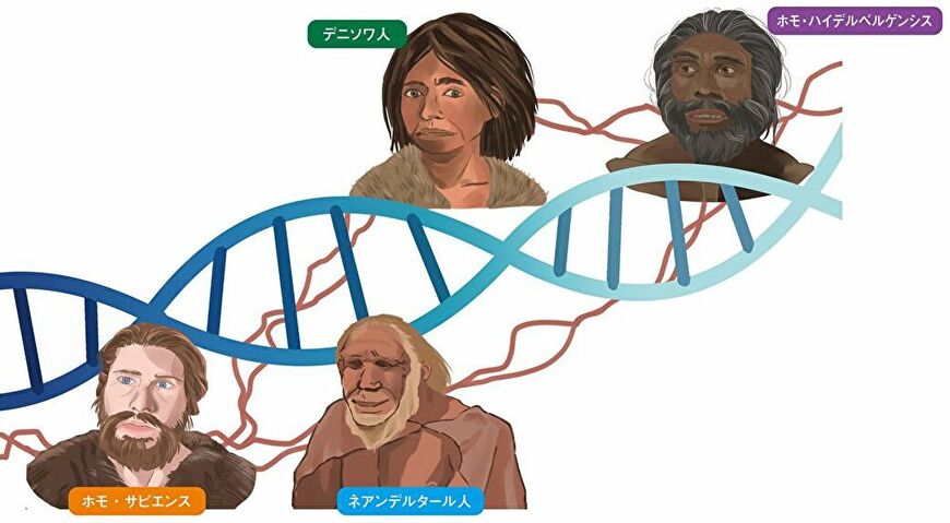 人類の起源